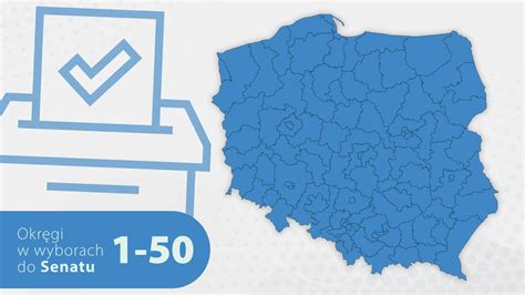 wybory 2023 kandydaci szczecin